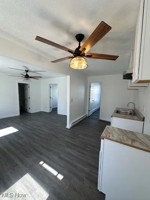 Kitchen with dark wood-style flooring, white cabinets, ceiling fan, and a sink