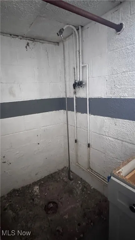 Bathroom with a shower in the basement