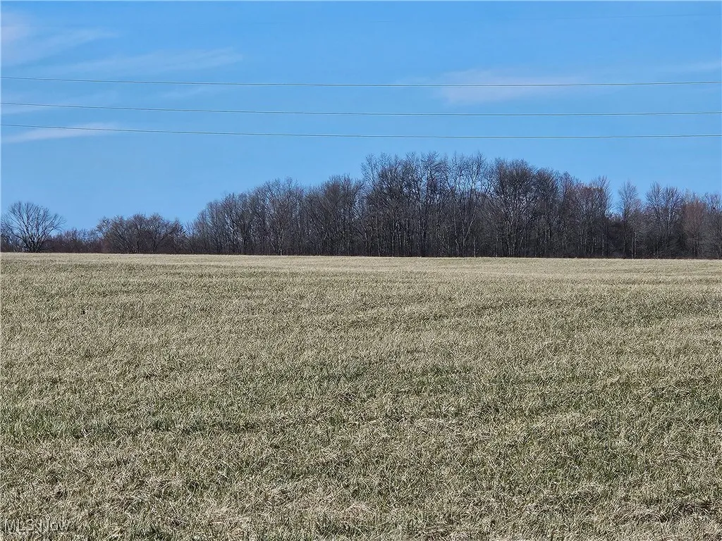 View of landscape featuring a rural view from front of property