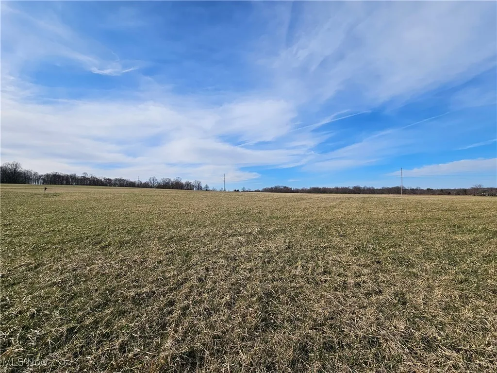View of landscape featuring a rural view from front of property