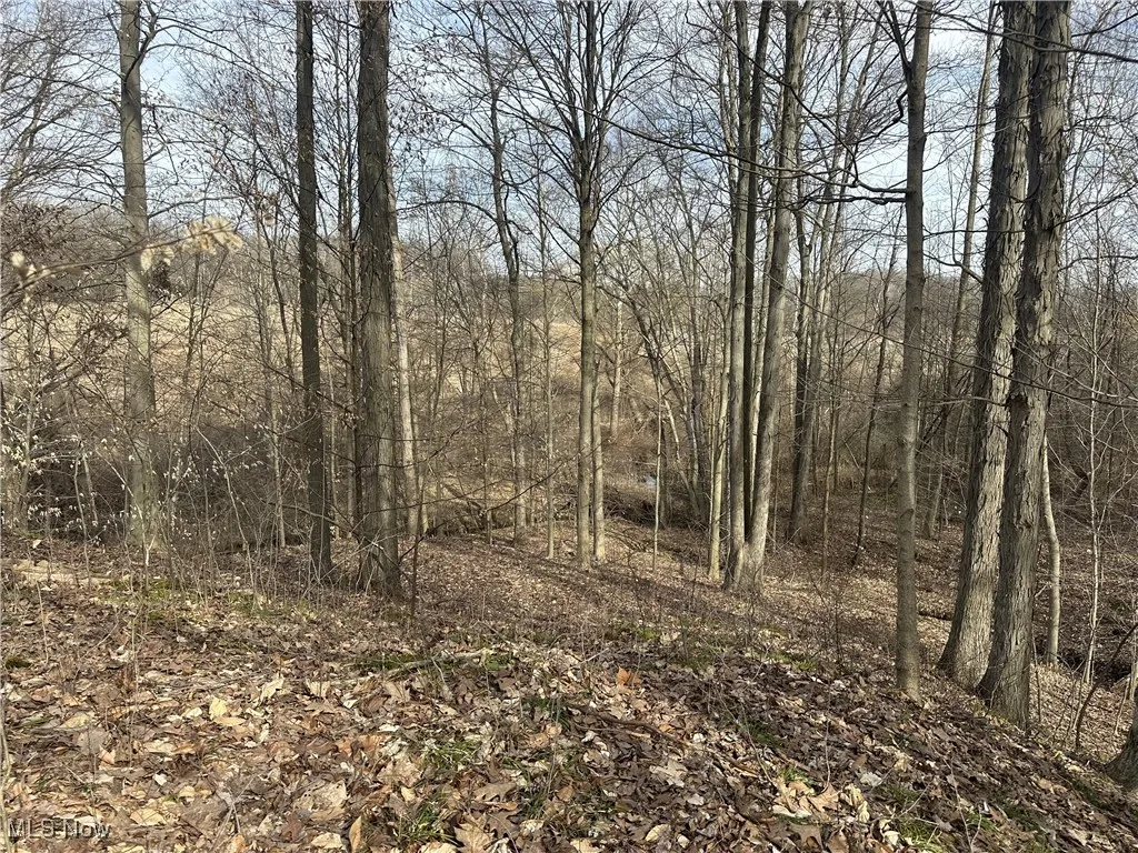 View of landscape