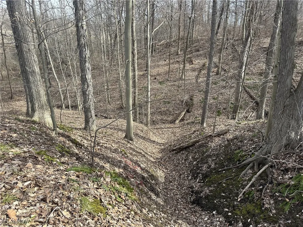 View of landscape