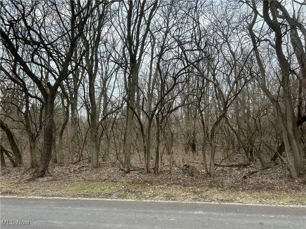 View of nature