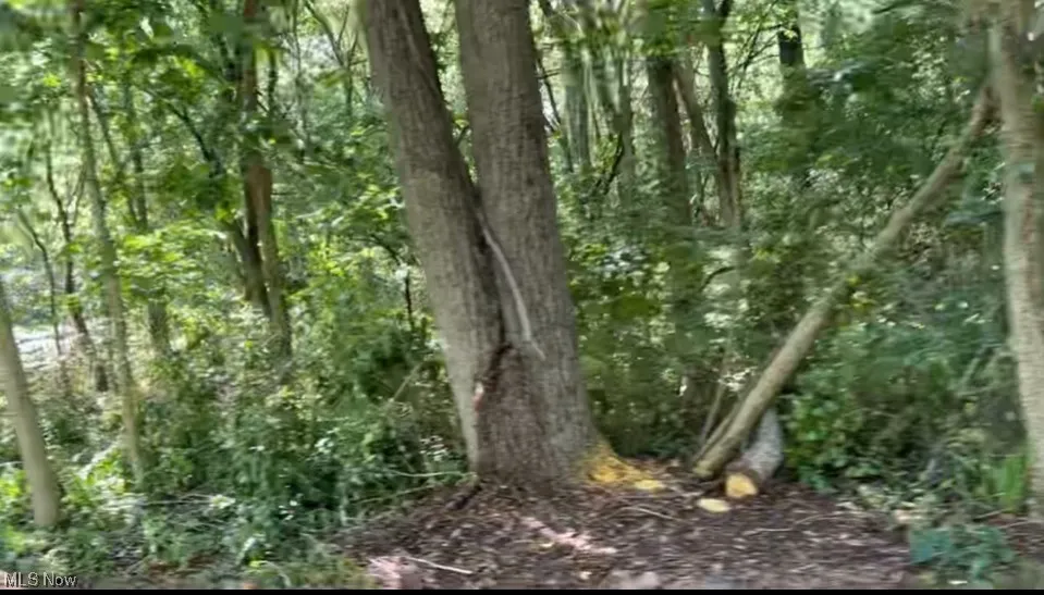 View of landscape featuring a wooded view