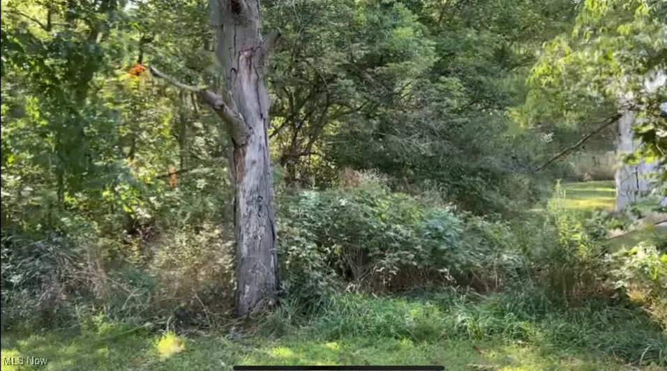 View of nature featuring a wooded view