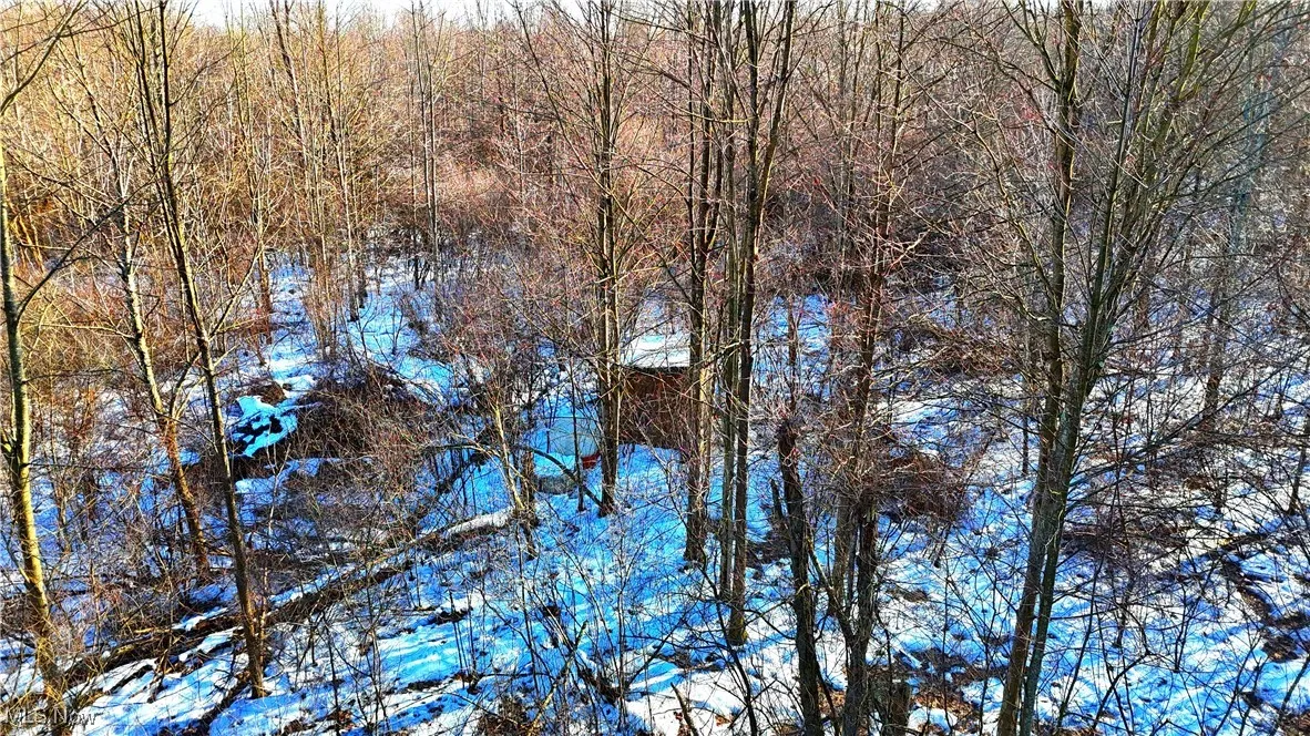 Dodgeville Road, Andover, Ohio,MLS Now Listing ID