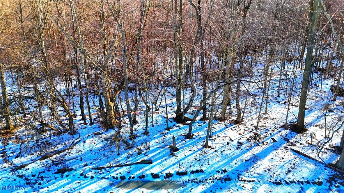Dodgeville Road, Andover, Ohio,MLS Now Listing ID