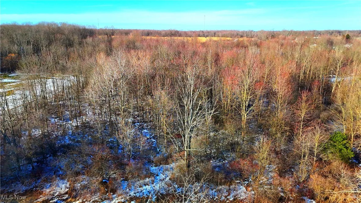 Dodgeville Road, Andover, Ohio,MLS Now Listing ID