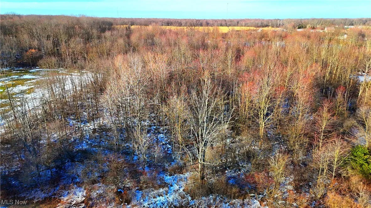 Dodgeville Road, Andover, Ohio,MLS Now Listing ID