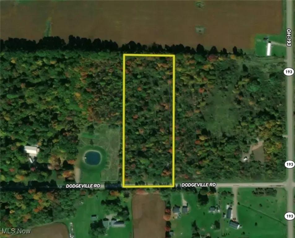 Dodgeville Road, Andover, Ohio,MLS Now Listing ID