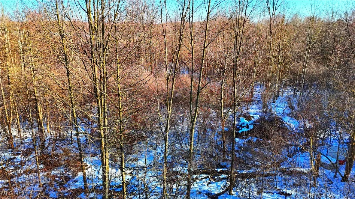 Dodgeville Road, Andover, Ohio,MLS Now Listing ID