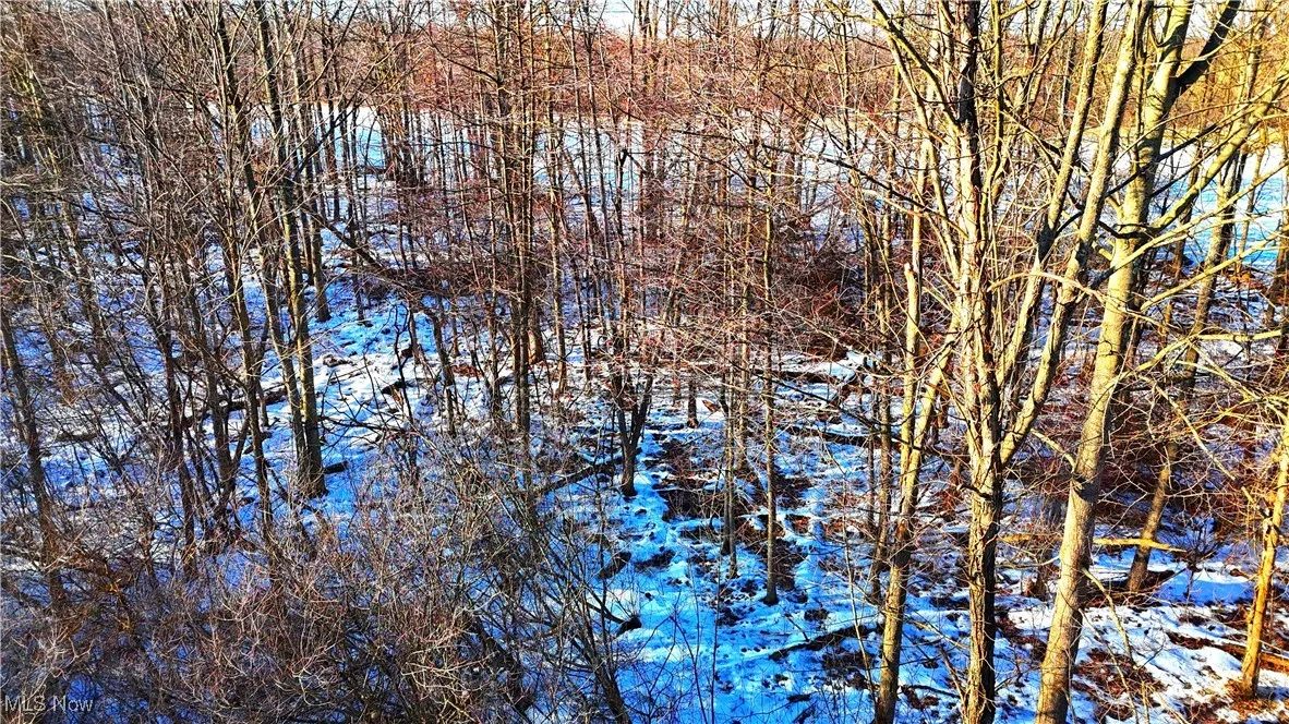 Dodgeville Road, Andover, Ohio,MLS Now Listing ID