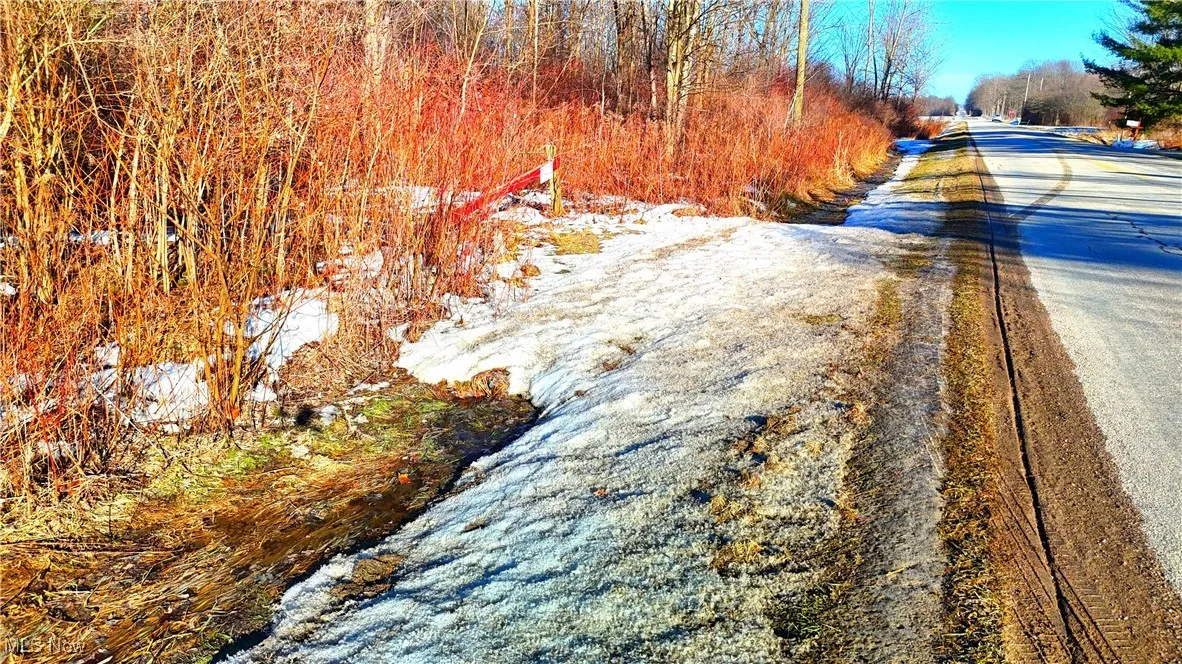 Dodgeville Road, Andover, Ohio,MLS Now Listing ID