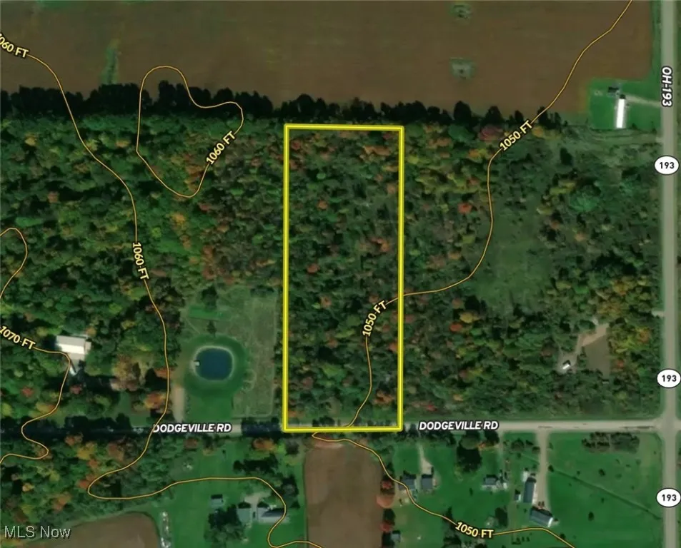 Dodgeville Road, Andover, Ohio,MLS Now Listing ID