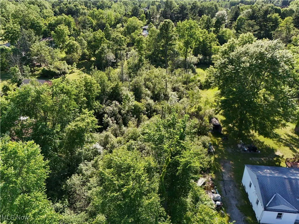 Aerial view with a forest​​‌​​​​‌​​‌‌​‌‌​​​‌‌​‌​‌​‌​​​‌​​ view