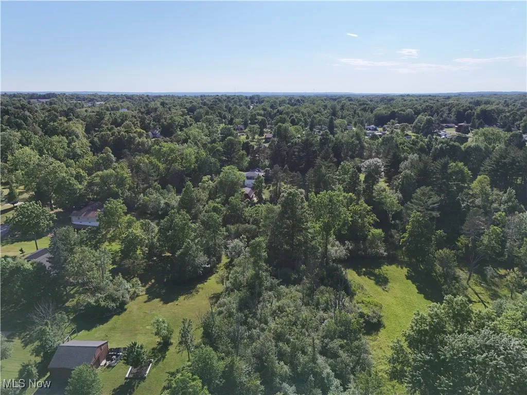 Bird's eye view with a view of trees