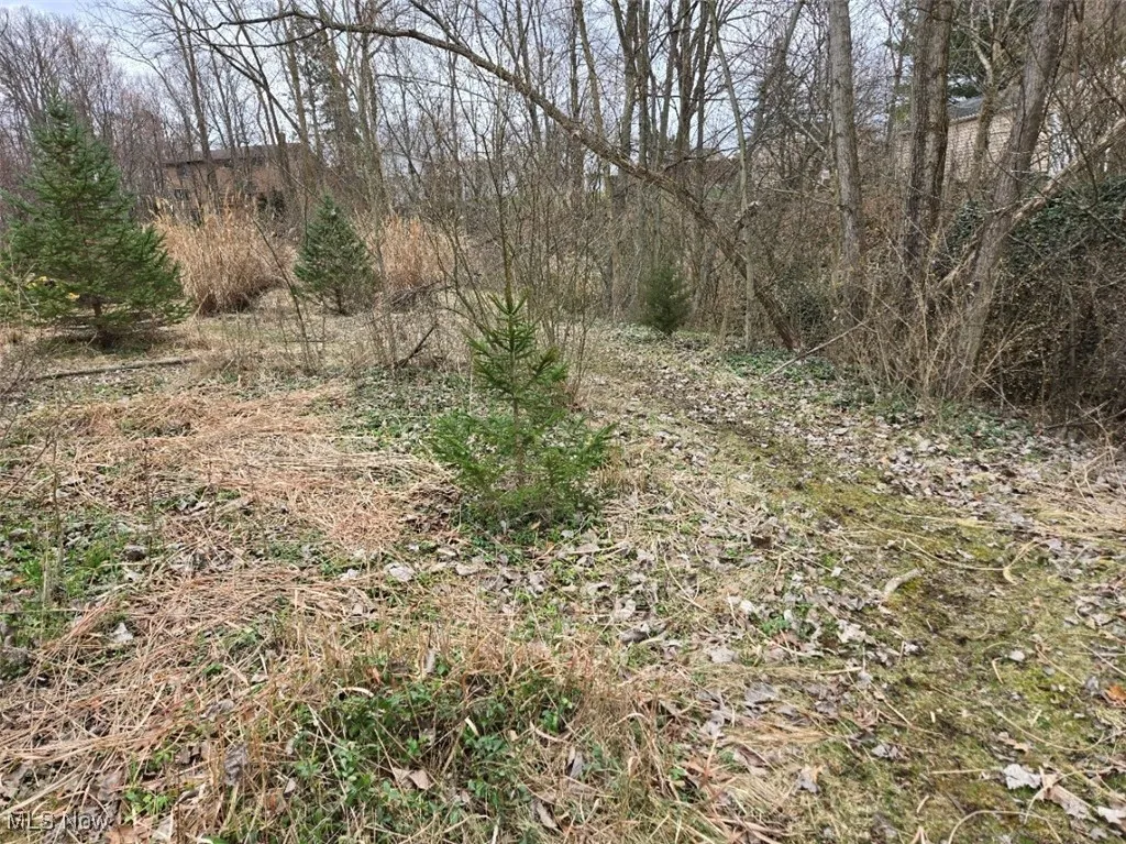 Yard view