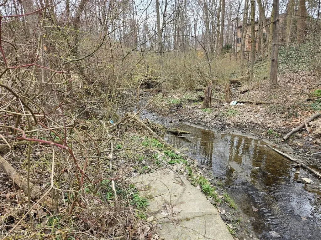 Creek view