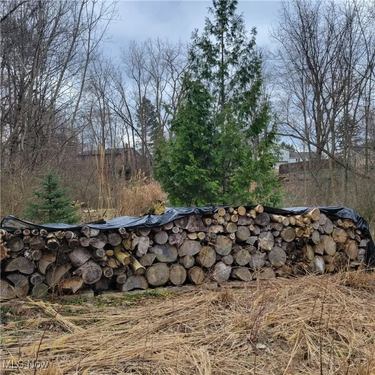 Toward back of property