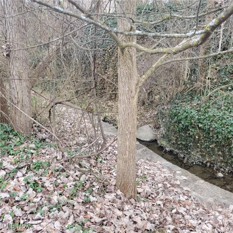 Creek edge