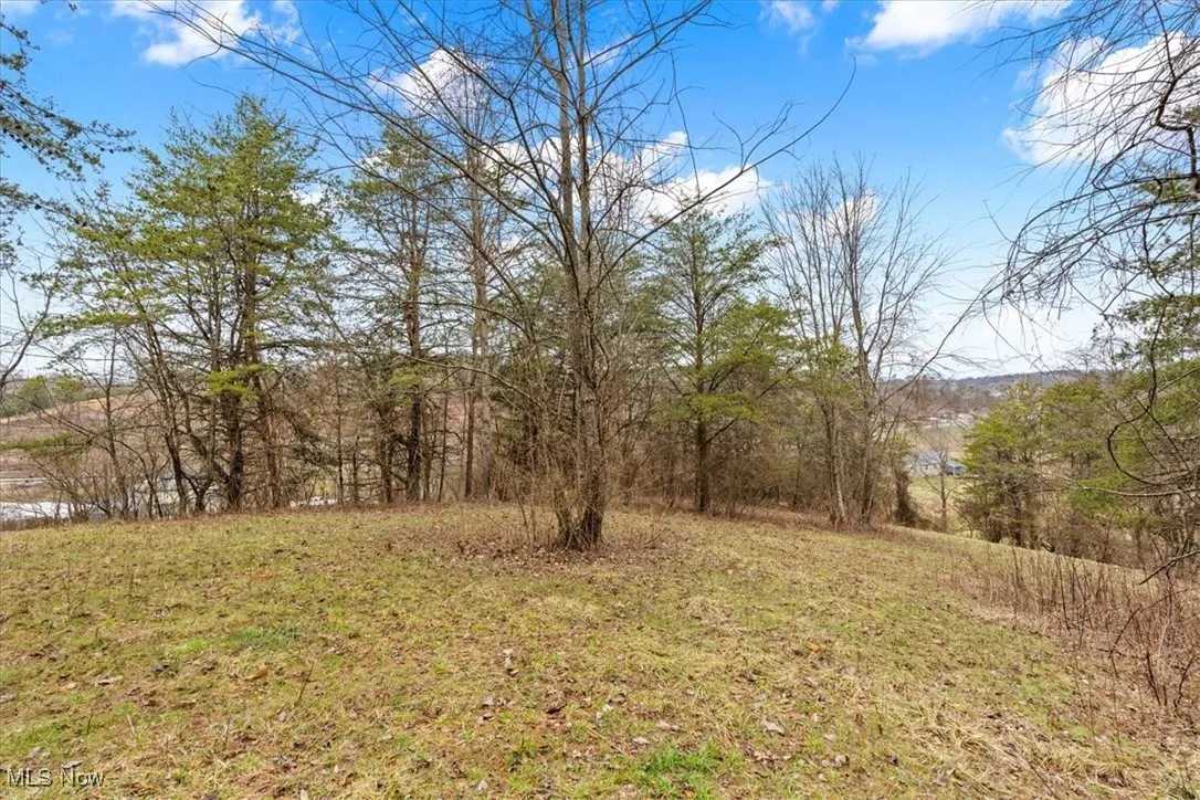 00 Elizabeth Pike, Parkersburg, West Virginia,MLS Now Listing ID