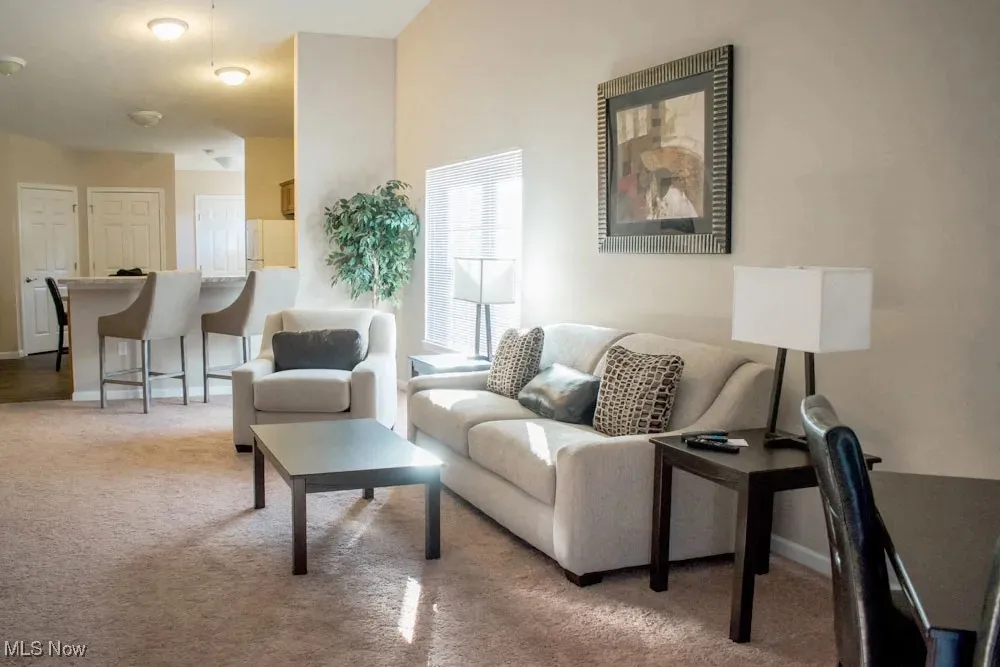 Living area with baseboards and carpet floors