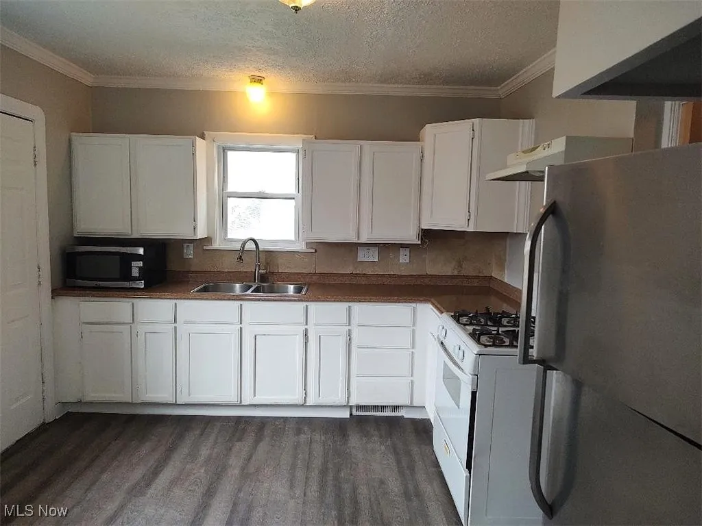 Kitchen with dark wood-style floors, white cabinets, a sink, and stainless steel appliances