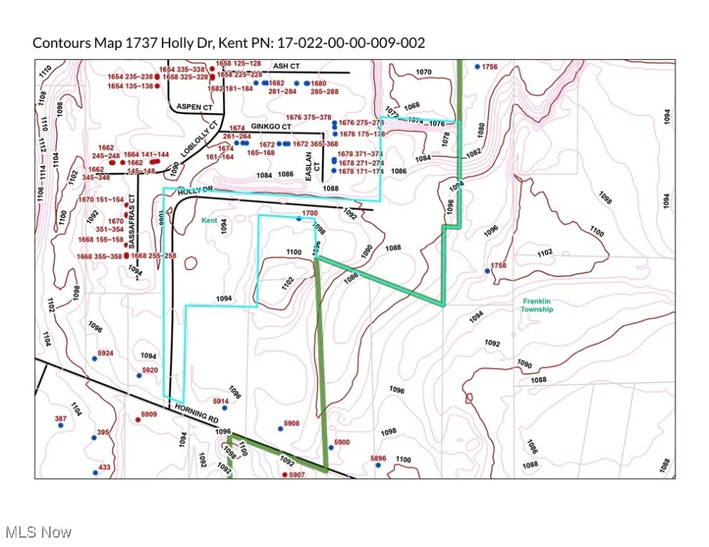 1737 Holly Drive, Kent, Ohio 44240,MLS Now Listing ID