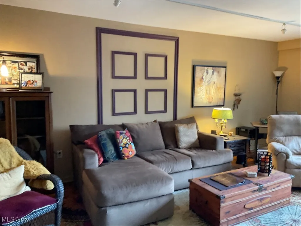 Living room featuring rail lighting