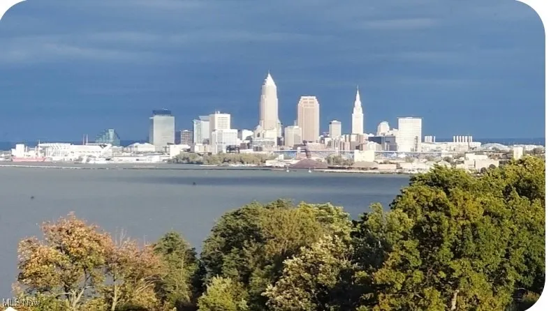 Property view of water featuring a view of city