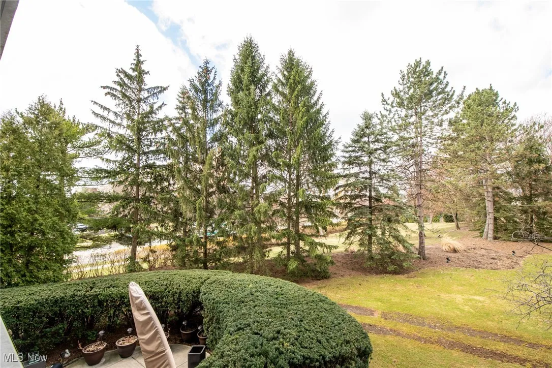 2202 Acacia Park Drive # 2208, Lyndhurst, Ohio 44124,MLS Now Listing ID