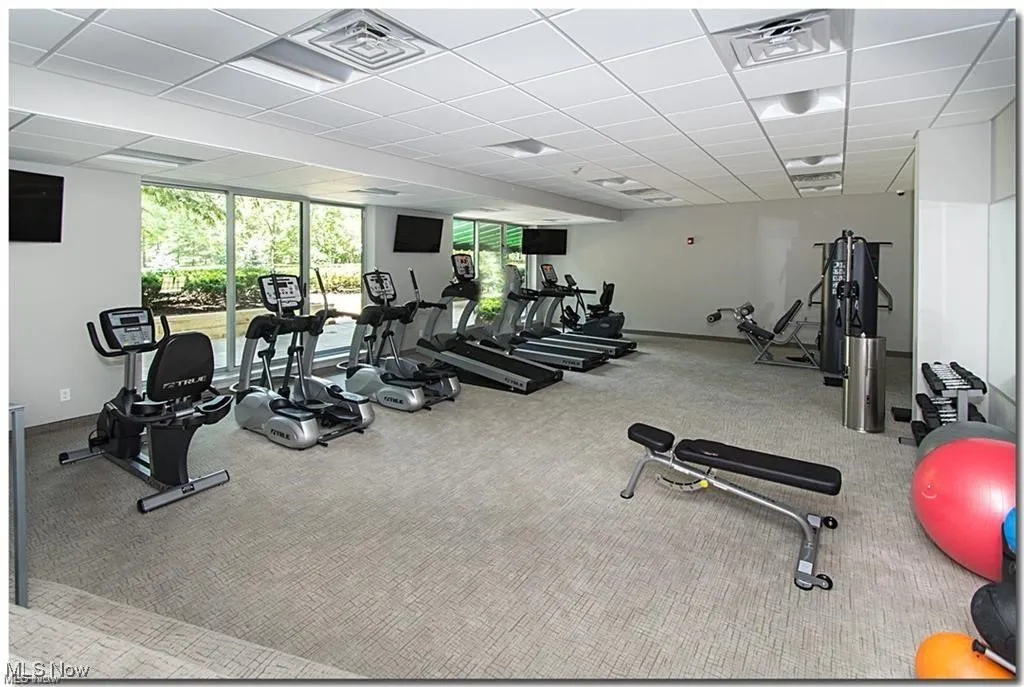 2202 Acacia Park Drive # 2208, Lyndhurst, Ohio 44124,MLS Now Listing ID