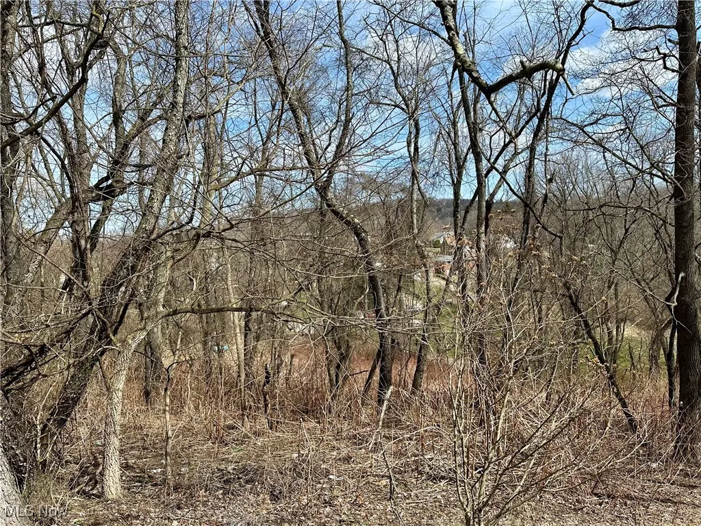 TBD Alta Street, Weirton, West Virginia,MLS Now Listing ID