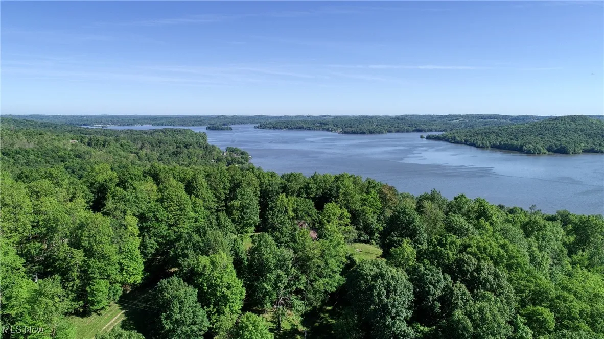 Water view with a forest
