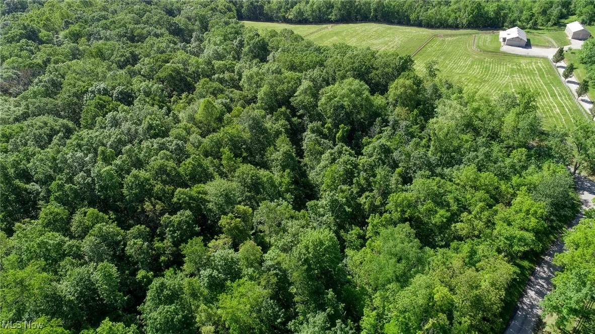 Aerial overview of property's location
