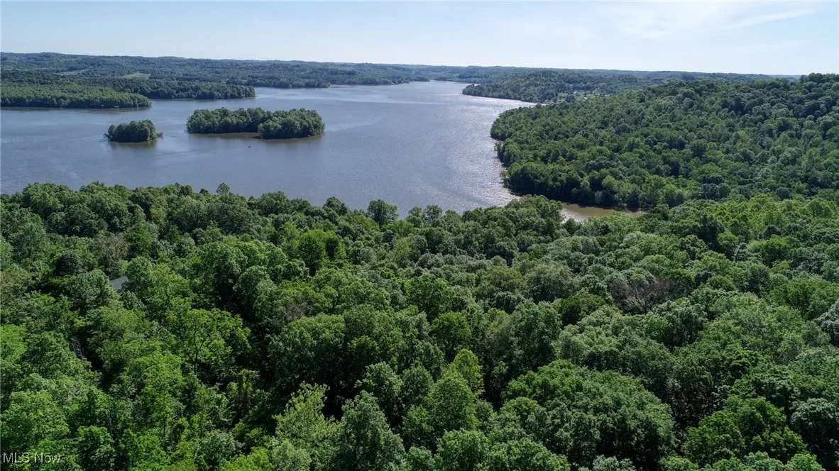 Drone / aerial view of a forest and a large body of water