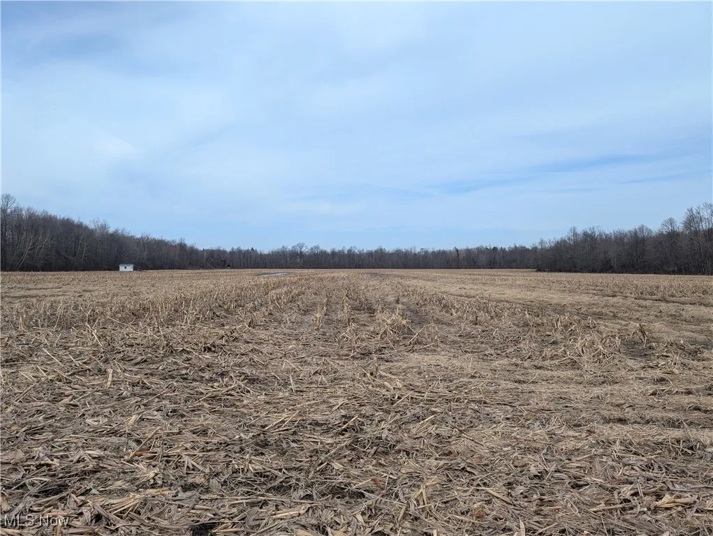 View of landscape featuring a rural view