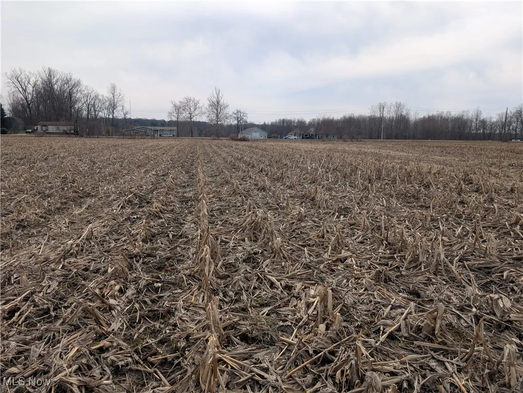 View of yard with a rural view