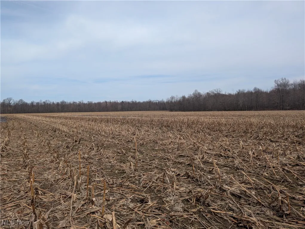 View of landscape featuring a rural view