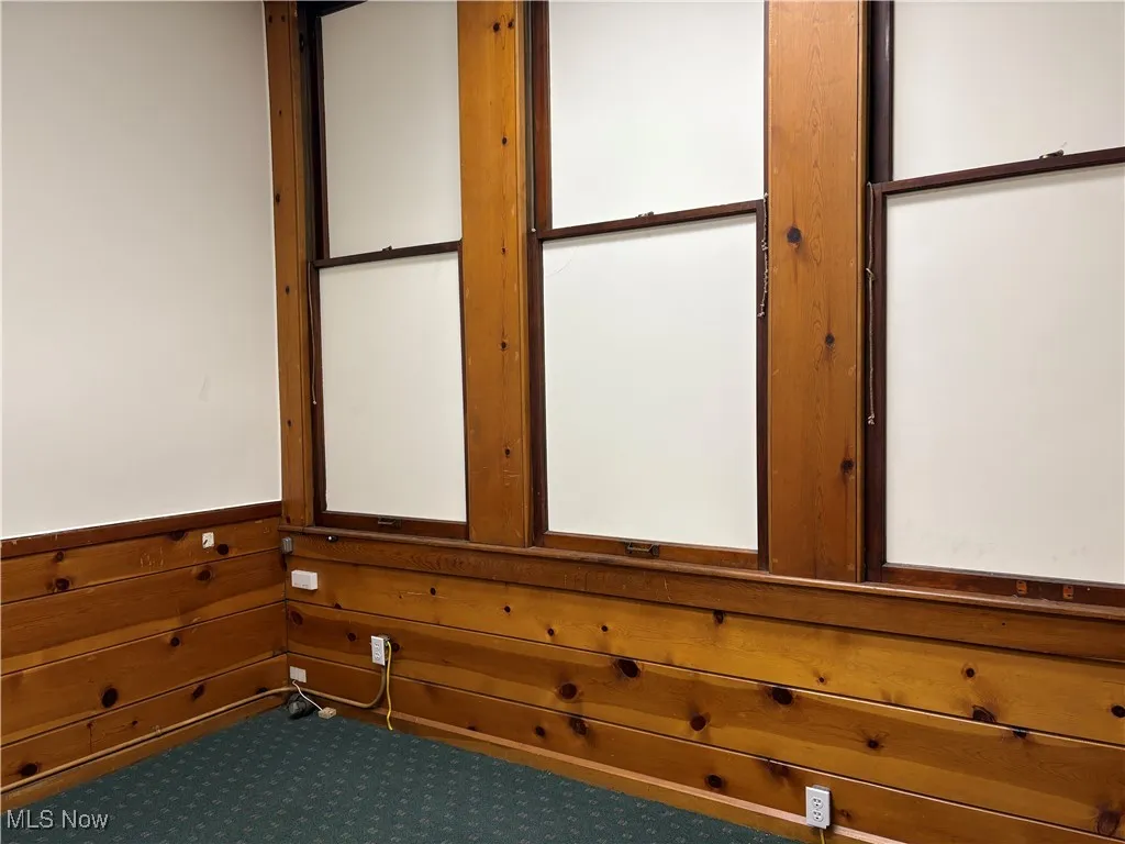 Carpeted spare room featuring wooden walls and wainscoting