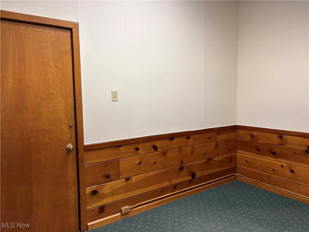 Carpeted spare room with wood walls