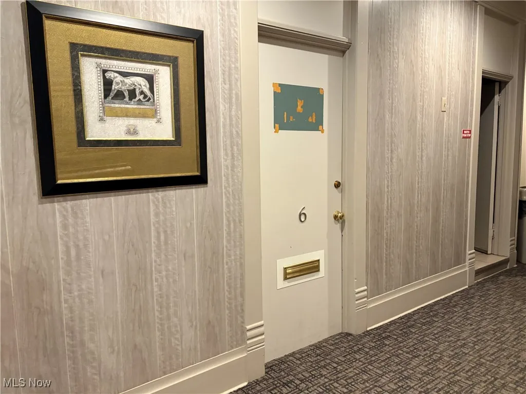 Hall featuring carpet floors