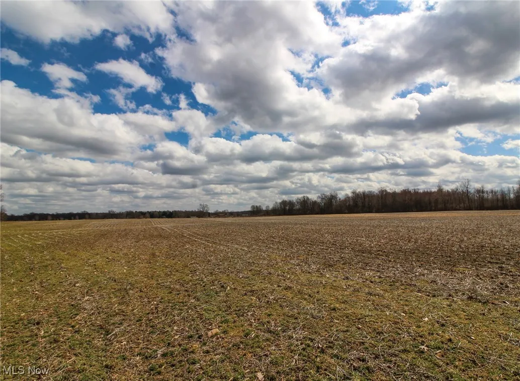 View of yard with a rural view