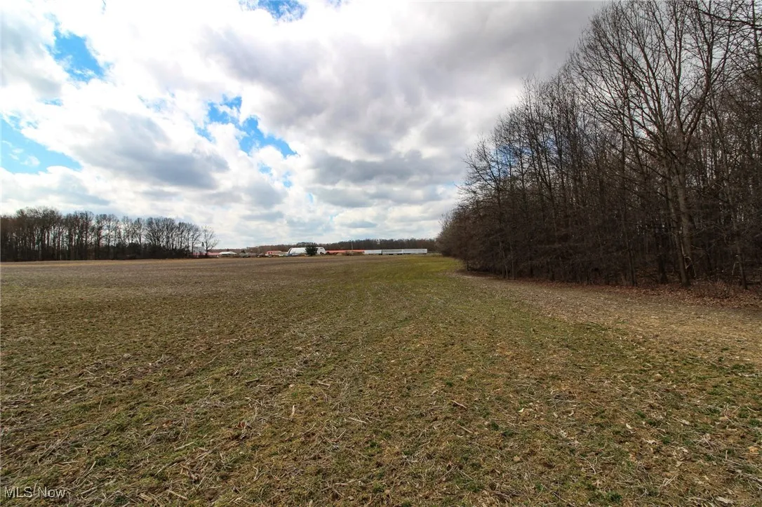 View of yard with a rural view
