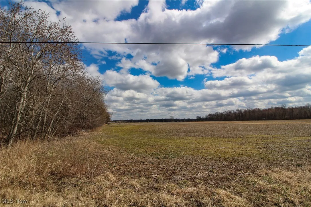 View of local wilderness with a rural view