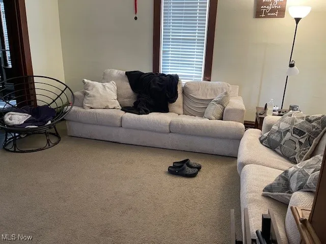 Living room featuring carpet flooring
