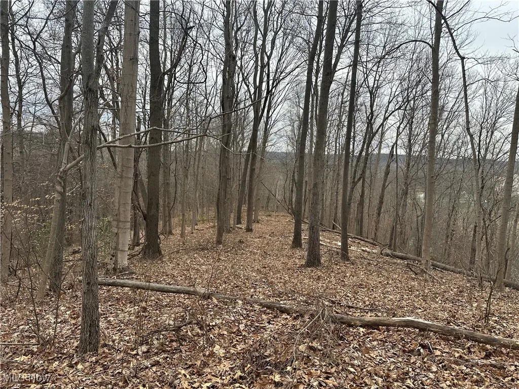 View of local wilderness featuring a view of trees