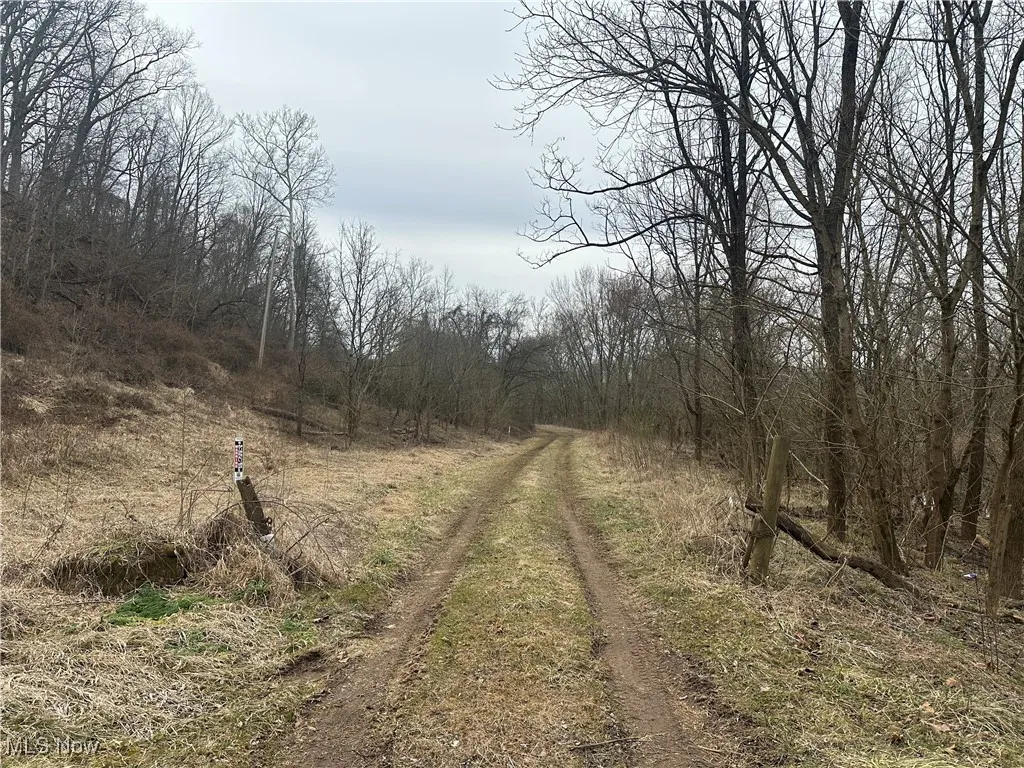 View of nature