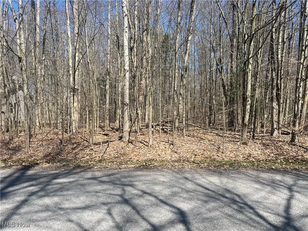 vacant lot 2107 N Park Lane