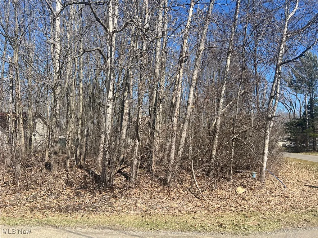 2455B Plum Creek Corner Lot